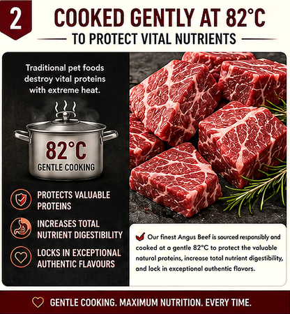 Angus Beef with Sweet Potato