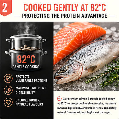 Salmon with Trout
