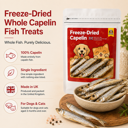 Freeze-Dried Capelin Fish Treats