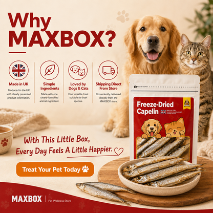 Freeze-Dried Capelin Fish Treats