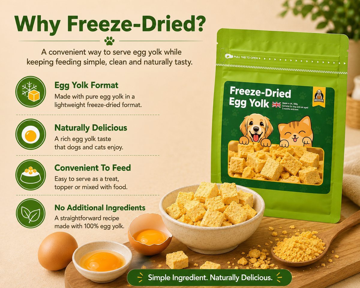 Egg Yolk Treats