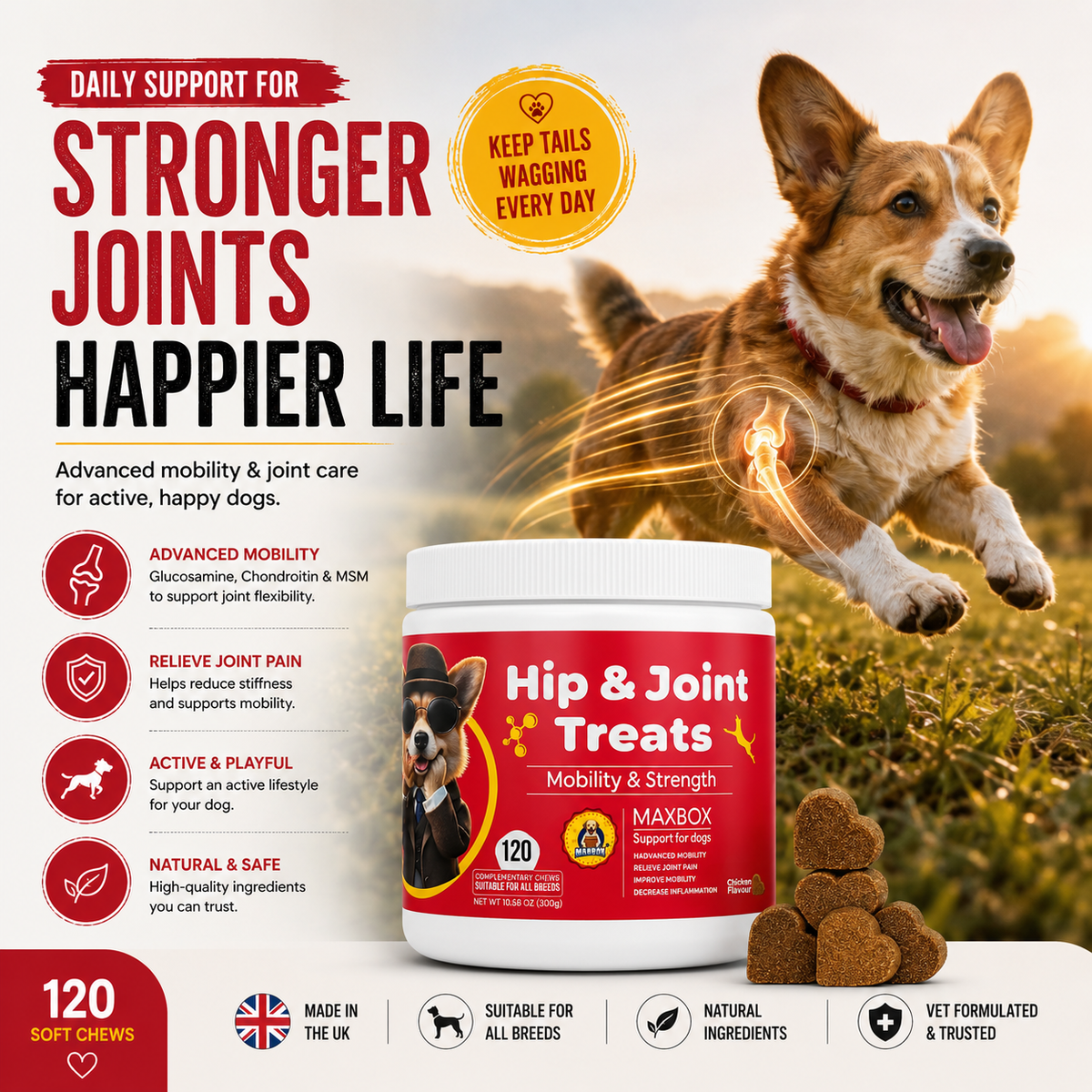 Hip & Joint Treats