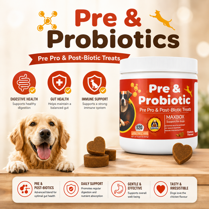Pre & Probiotic Digestive Treats