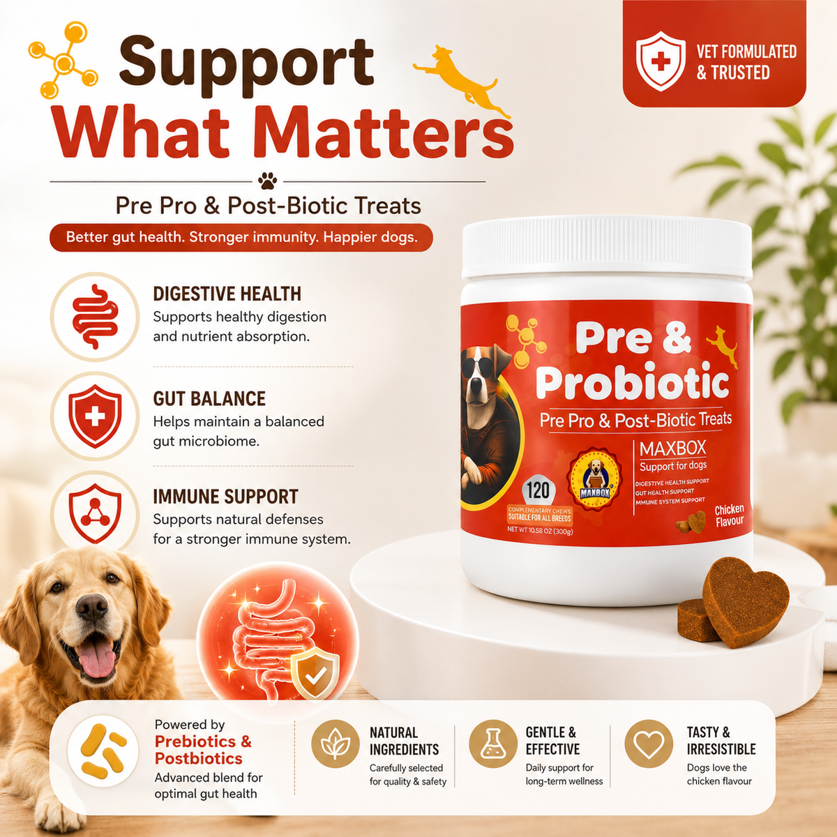 Pre & Probiotic Digestive Treats