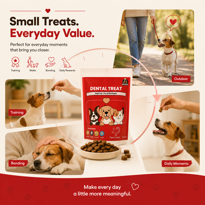 Dental Training Treats