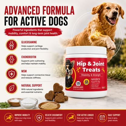 Hip & Joint Treats