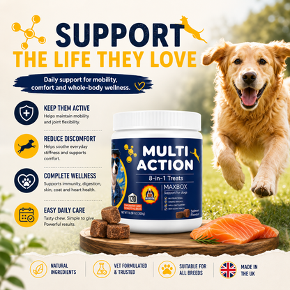 Multi-Action Treats