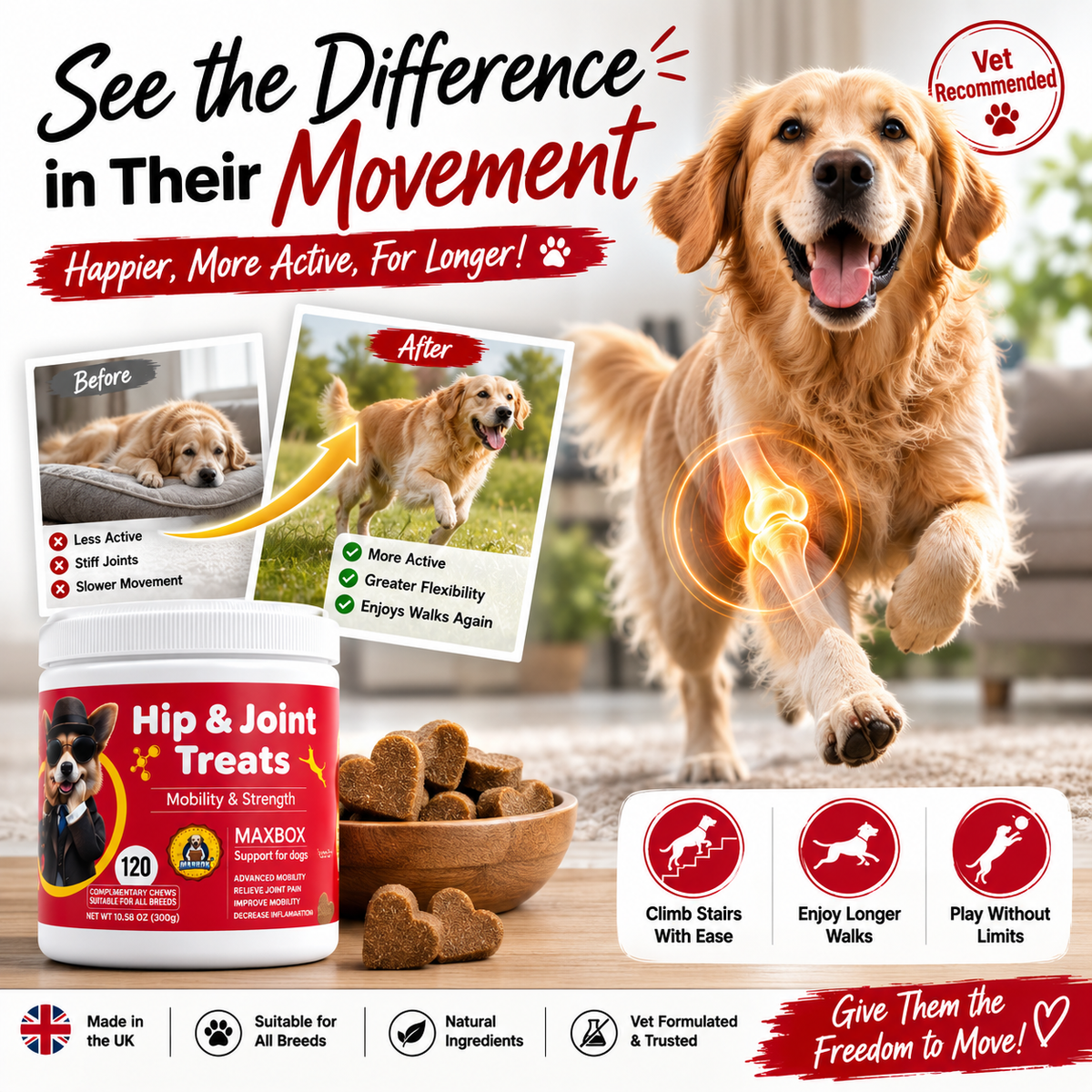 Hip & Joint Treats
