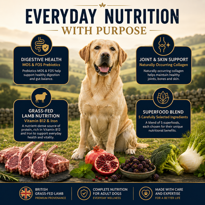 Dog Super Food - British Grass-Fed Lamb Adult with Mint, Pomegranate