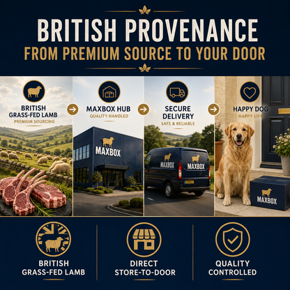 Dog Super Food - British Grass-Fed Lamb Adult with Mint, Pomegranate