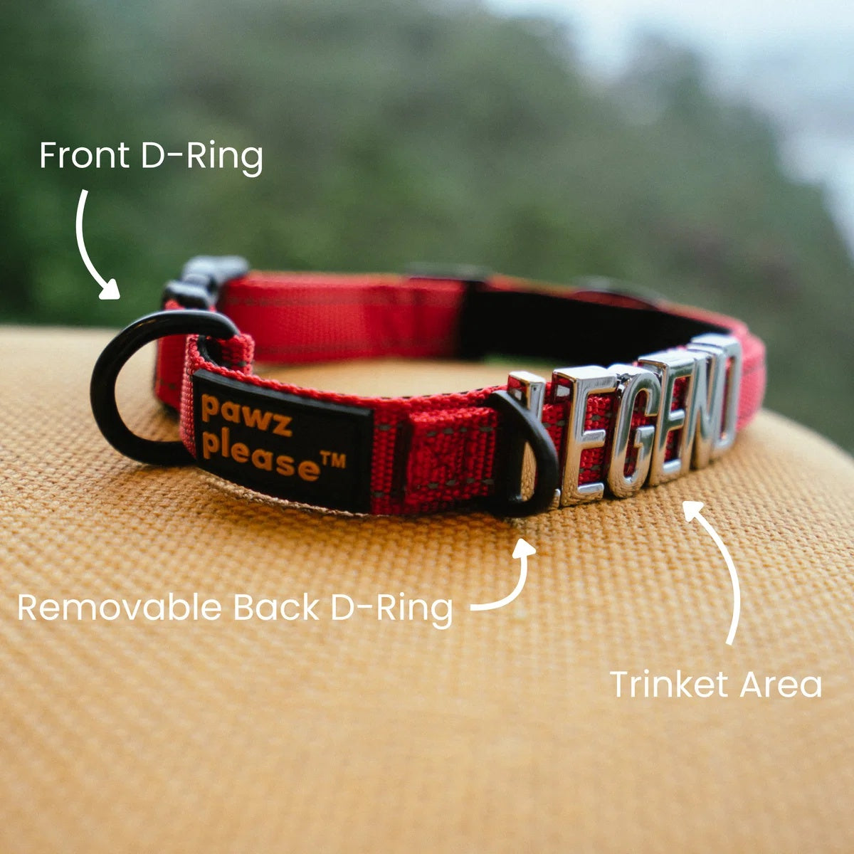 Pawz Please Explorer Nylon Collar