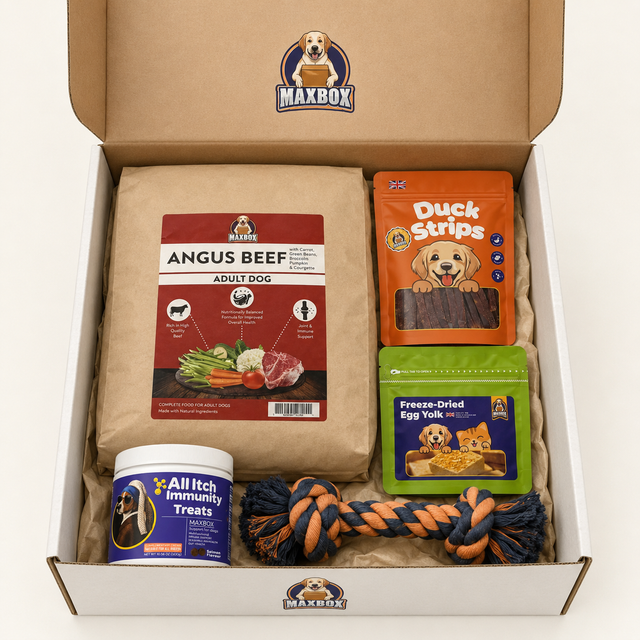 MAXBOX (Small Breed 10KG)