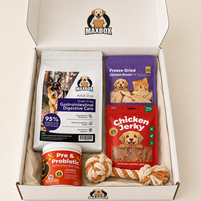 MAXBOX (Small Breed 2KG)