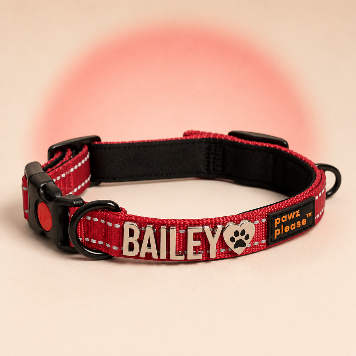 Pawz Please Explorer Nylon Collar