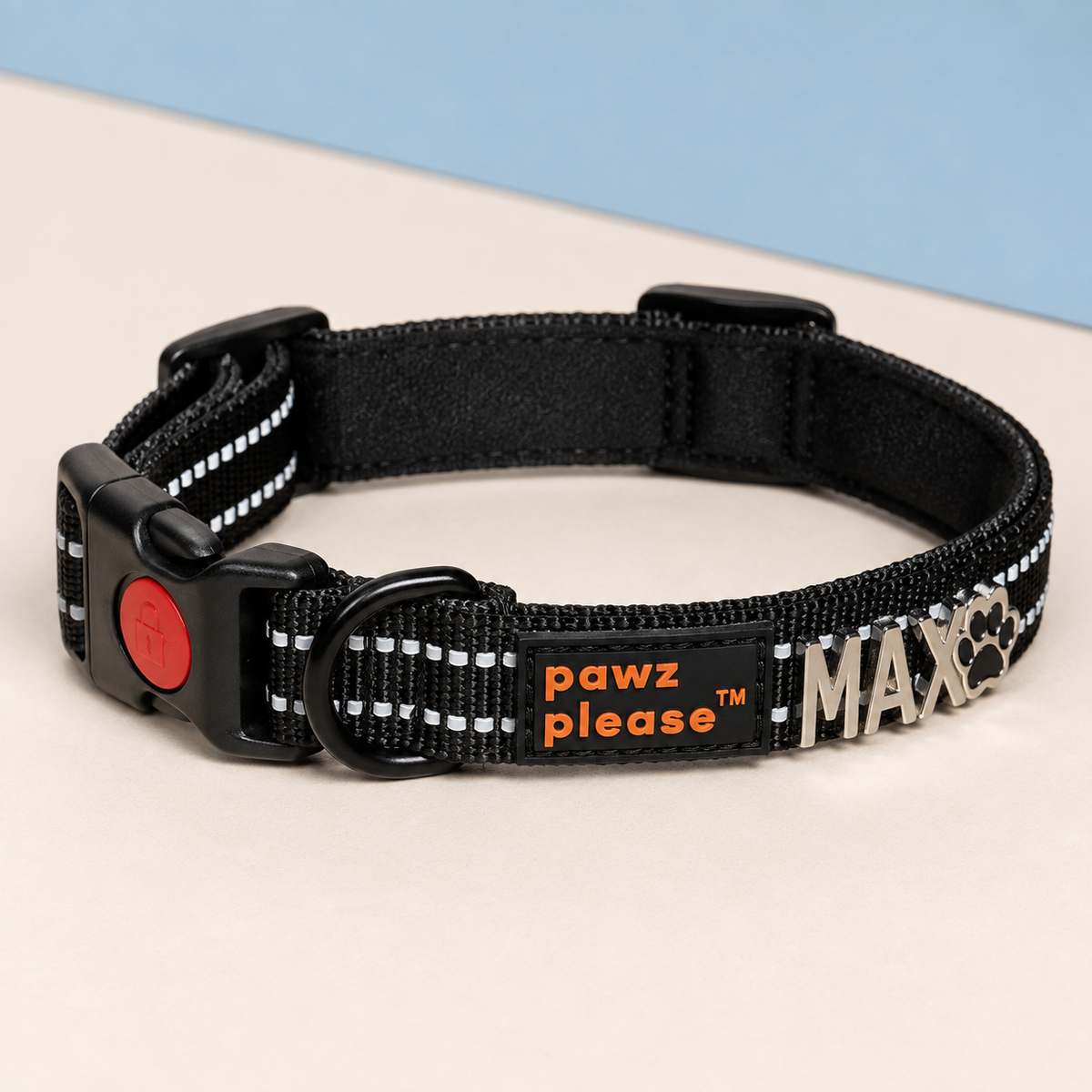 Pawz Please Explorer Nylon Collar