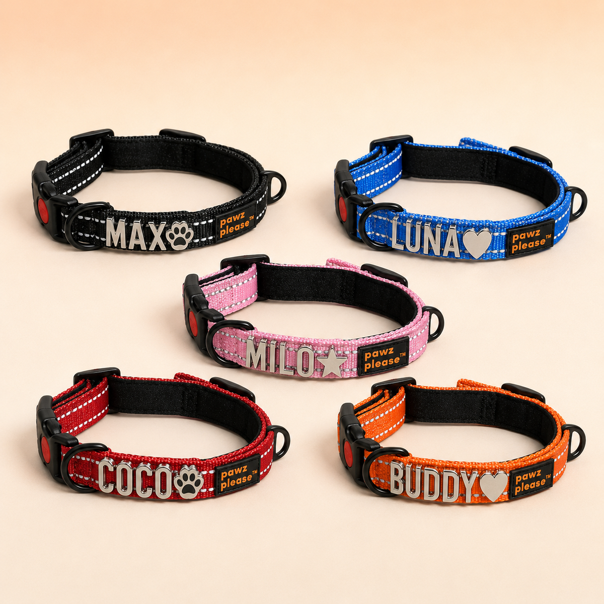 Pawz Please Explorer Nylon Collar
