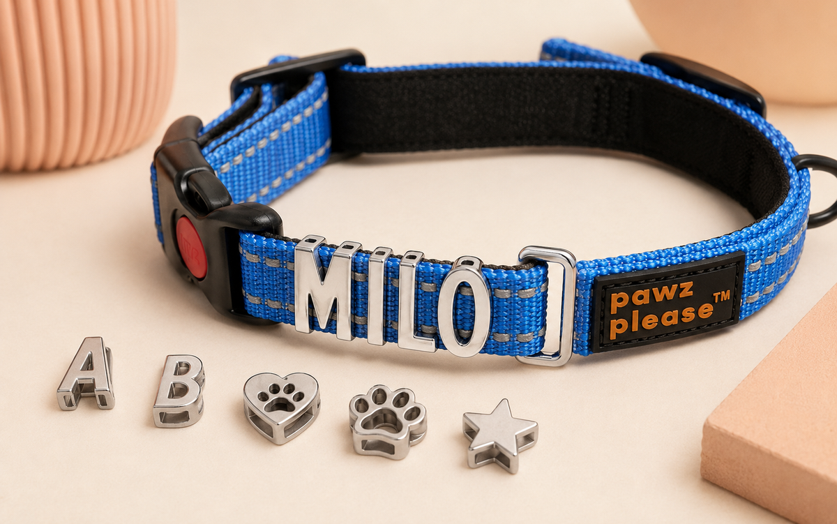 Pawz Please Explorer Nylon Collar