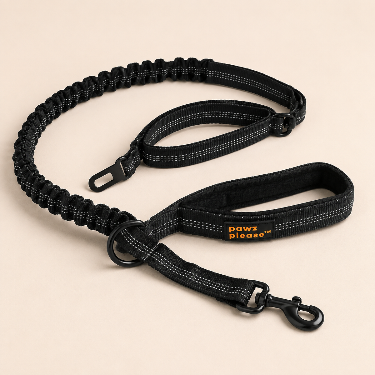 Pawz Please Explorer Nylon Leash