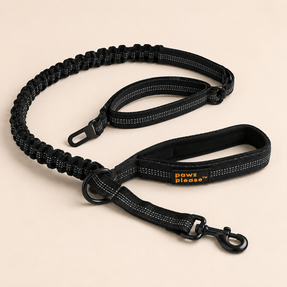 Pawz Please Explorer Nylon Leash