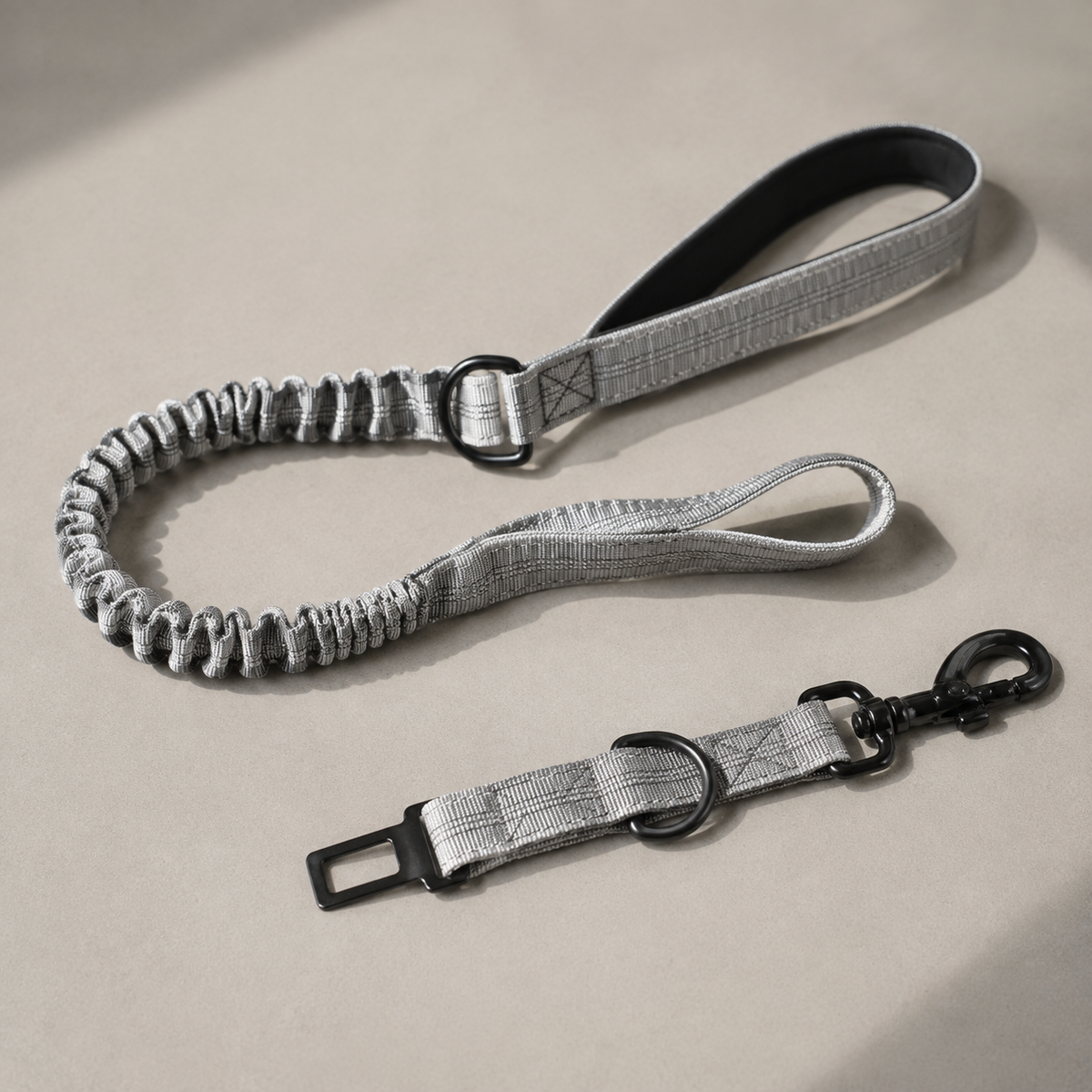 Pawz Please Explorer Nylon Leash