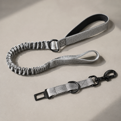 Pawz Please Explorer Nylon Leash