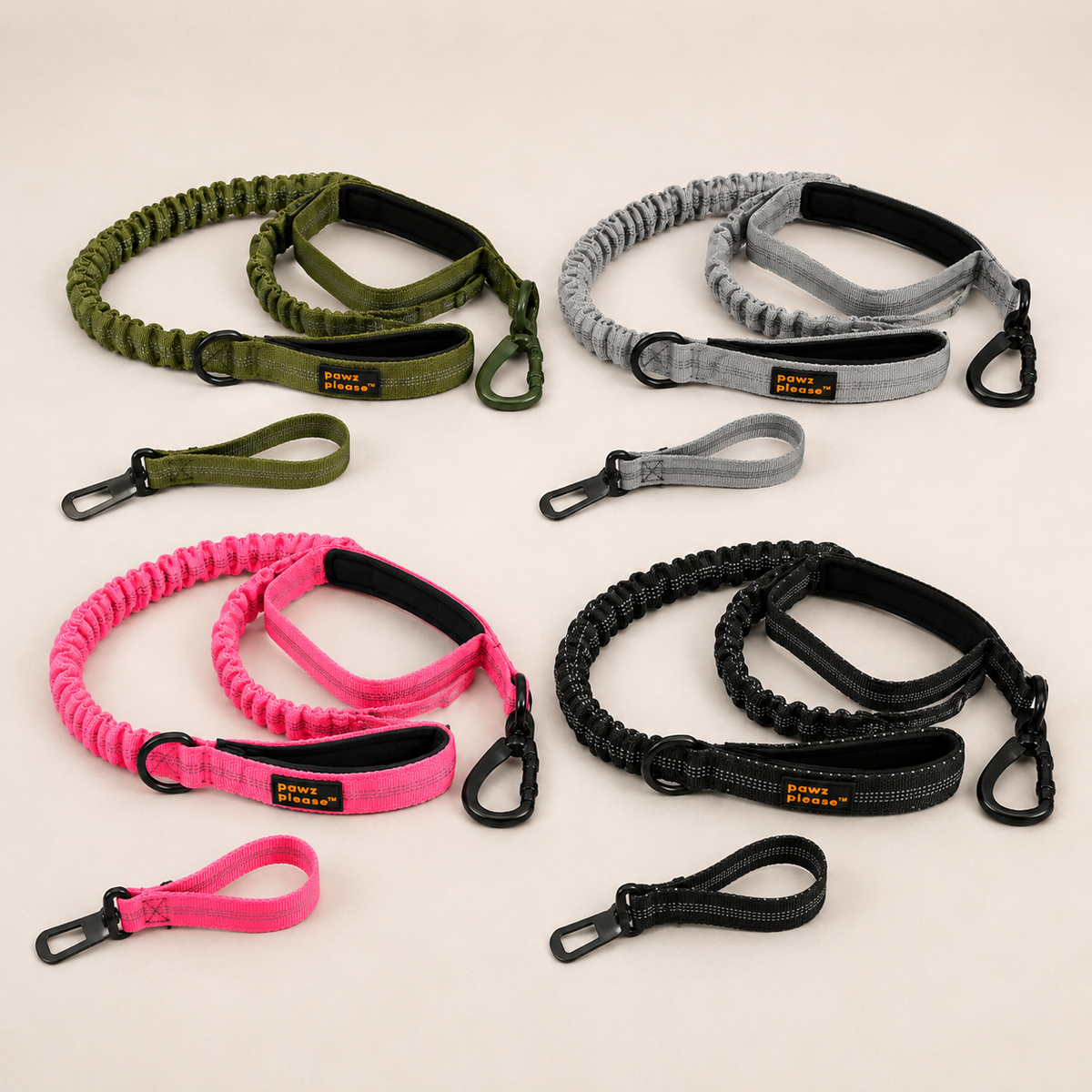 Pawz Please Explorer Nylon Leash