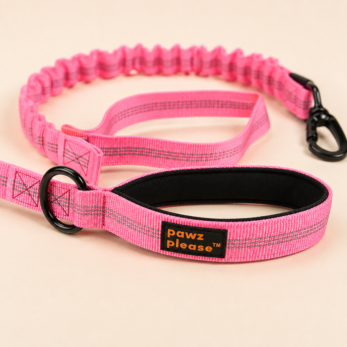 Pawz Please Explorer Nylon Leash