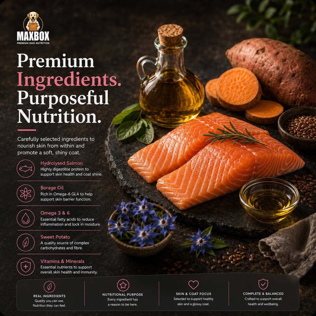 Dog Dry Food - Skin & Coat Care