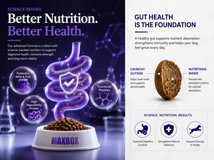 Dog Dry Food - Gastrointestinal Digestive Care