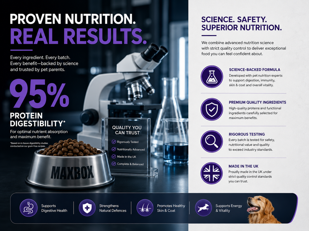 Dog Dry Food - Gastrointestinal Digestive Care