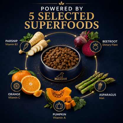 Dog Super Food - Country Duck with Parsnip & Pumpkin