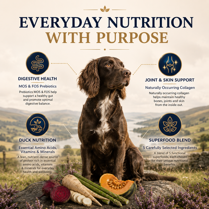 Dog Super Food - Country Duck with Parsnip & Pumpkin