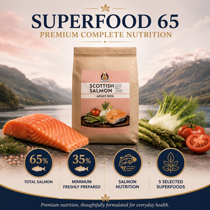 Dog Super Food - Scottish Salmon with Dill