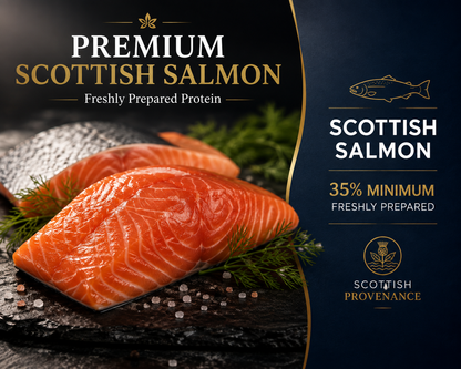 Dog Super Food - Scottish Salmon with Dill
