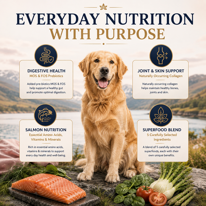 Dog Super Food - Scottish Salmon with Dill