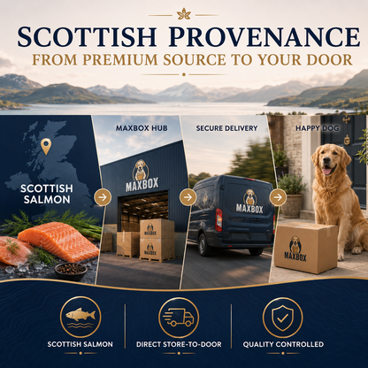 Dog Super Food - Scottish Salmon with Dill