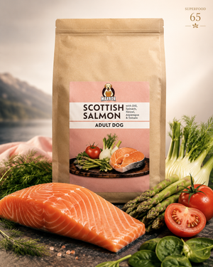 Dog Super Food - Scottish Salmon with Dill