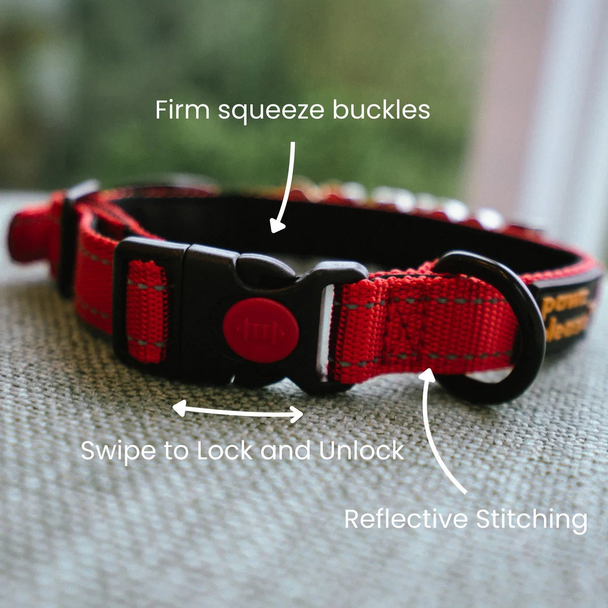 Pawz Please Explorer Nylon Collar
