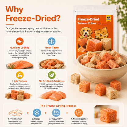 Freeze-Dried Salmon Cubes