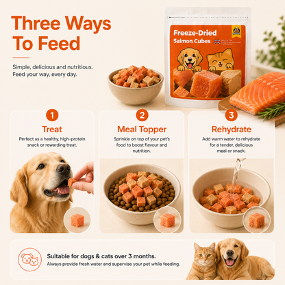 Freeze-Dried Salmon Cubes