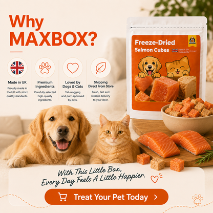 Freeze-Dried Salmon Cubes