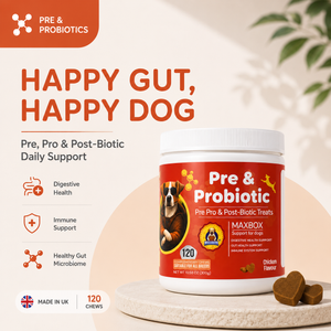 Pre & Probiotic Digestive Treats