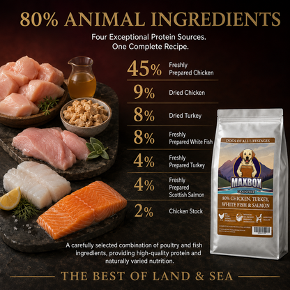 Signature 80 - Chicken, Turkey, White Fish & Salmon 2kg
