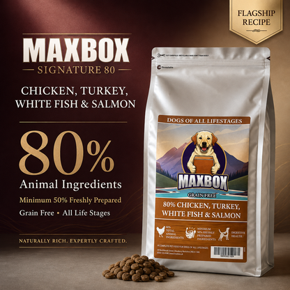 Signature 80 - Chicken, Turkey, White Fish & Salmon 2kg