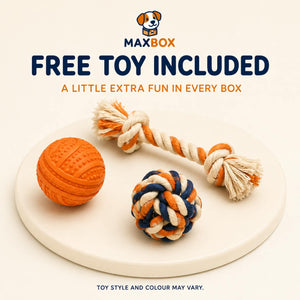 Free Toy